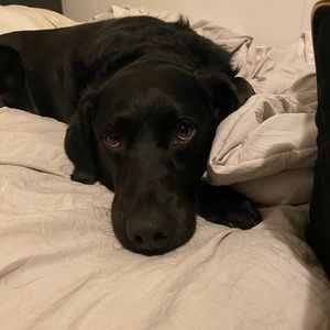 Meet your Posher, James